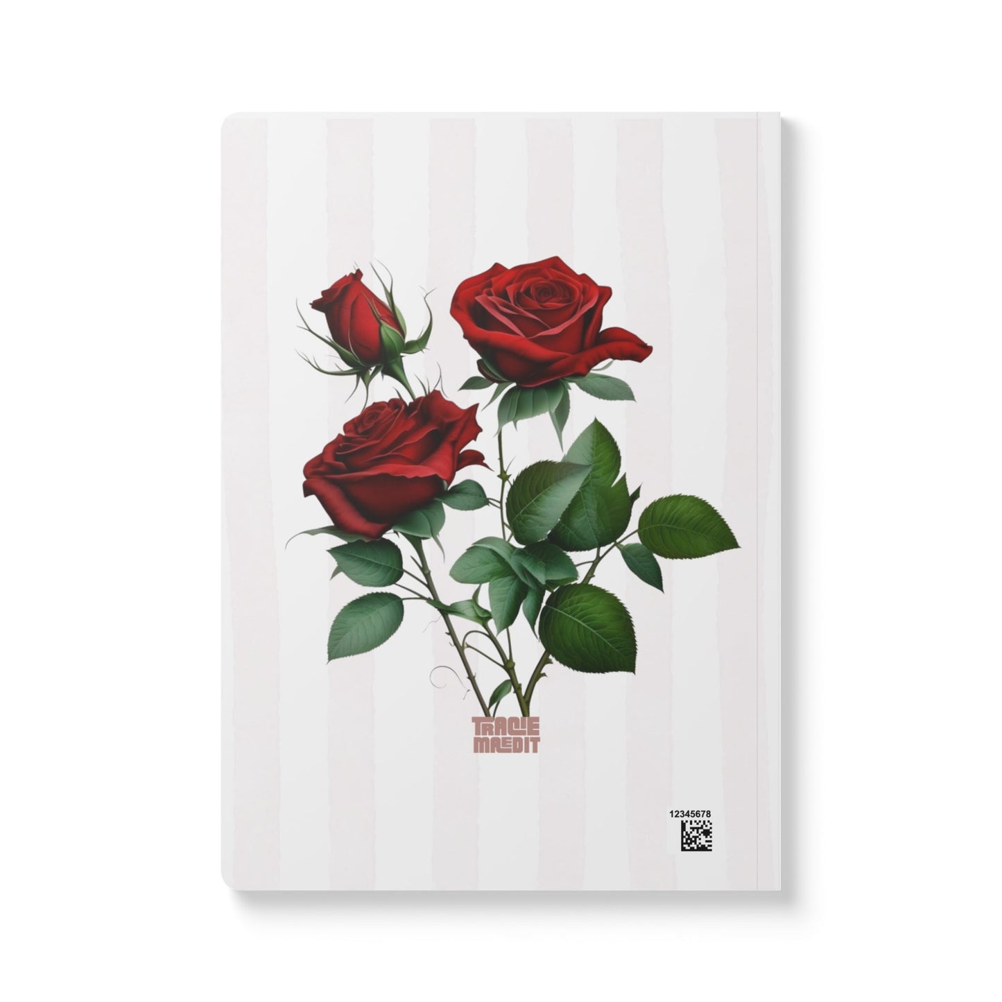 Stay Here: A Journal for Staying When It Feels Impossible (Red)